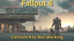 Fallout 4: Console Key not Working